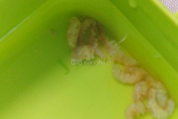 虾米水蒸蛋的做法图解4