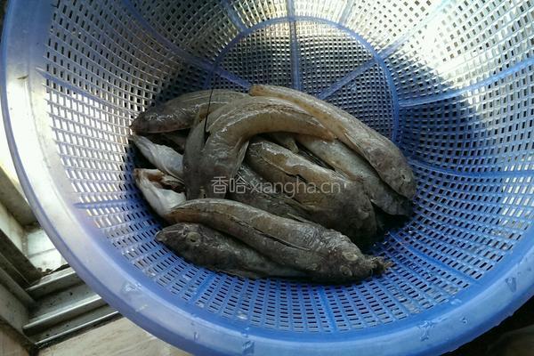 箭头鱼的做法图解1