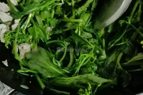 瘦肉炒菜心的做法图解4
