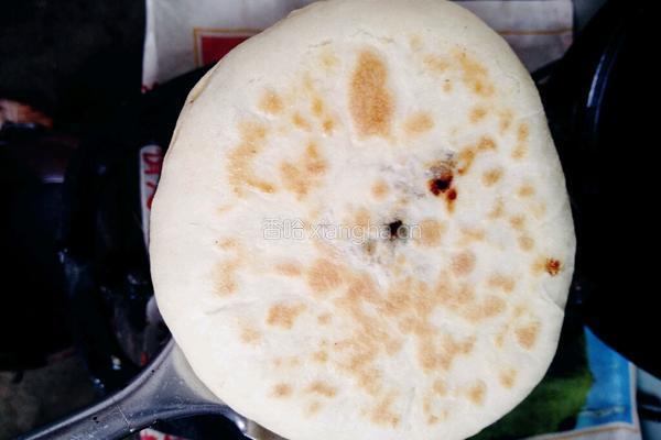 发面猪肉馅饼的做法图解4