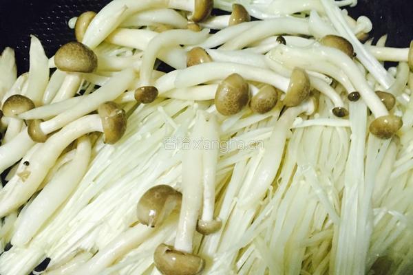 菌菇鲜虾大酱汤的做法图解6