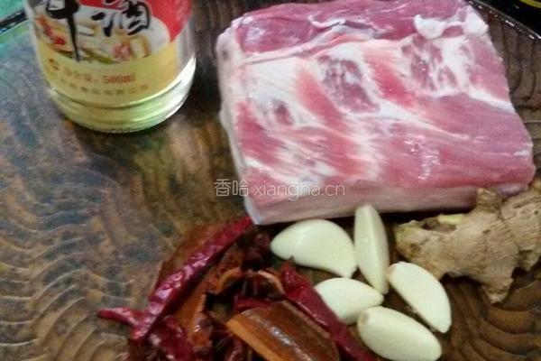 密制红烧肉的做法图解1