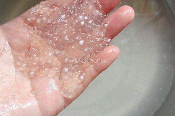 椰奶香芋西米露的做法图解5