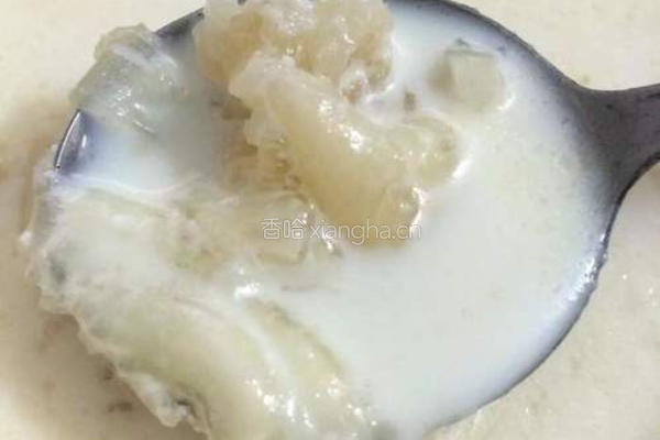 杏汁花胶牛奶丰胸汤的做法图解8