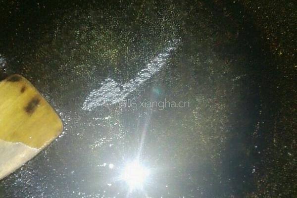 生煎包子的做法图解2