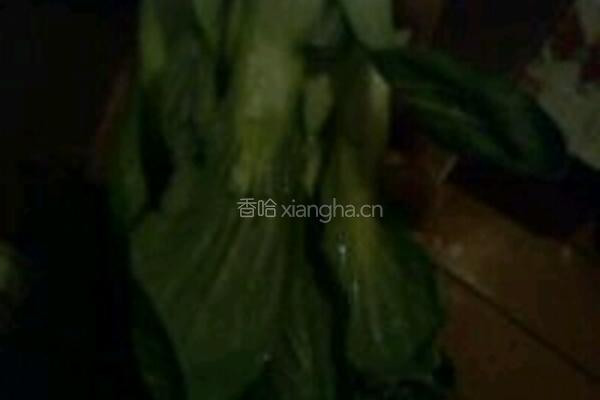 烩葫芦的做法图解4