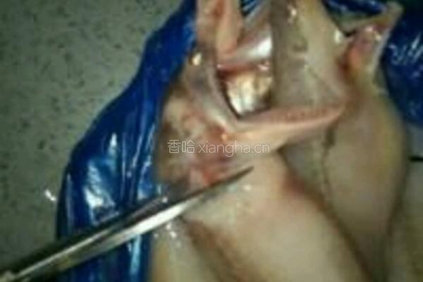 家常豆腐鱼的做法图解1