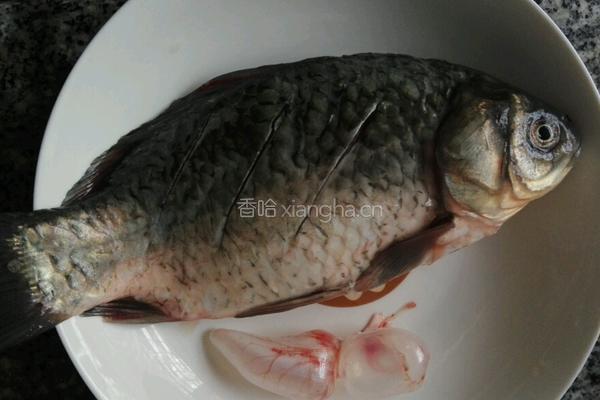 白瓜鲫鱼汤的做法图解1