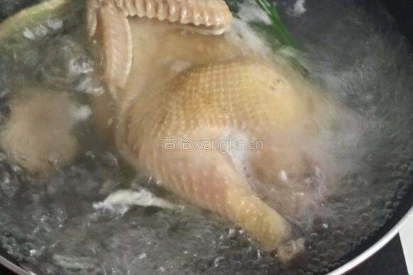 白切鸡的做法图解2