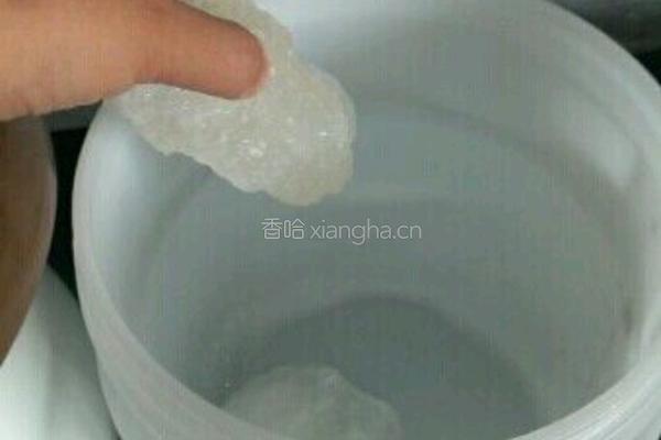 陈皮李子酵素的做法图解1