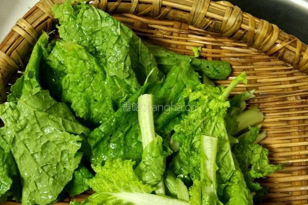 素菜肉汤的做法图解1