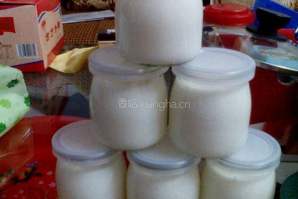 自制酸奶的做法图解5