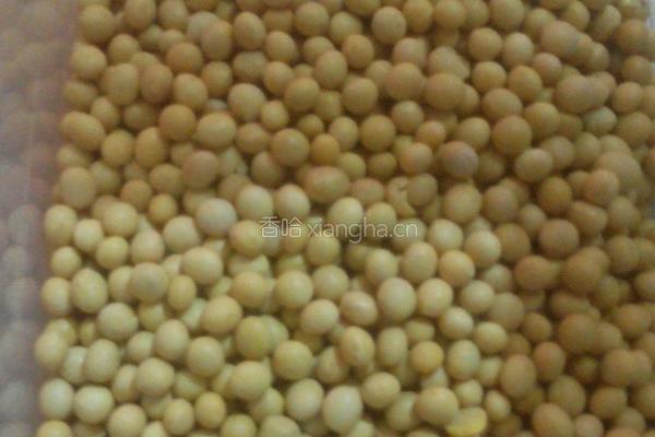 芒果豆花的做法图解1
