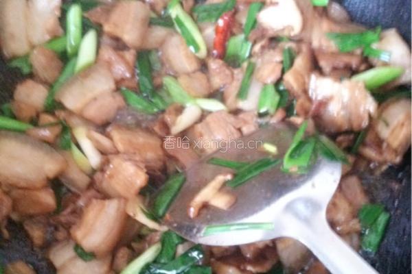 蒜香回锅肉的做法图解6