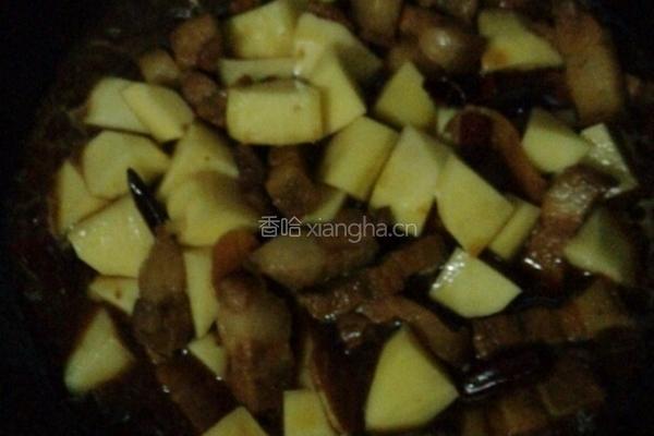 土豆烧肉的做法图解5