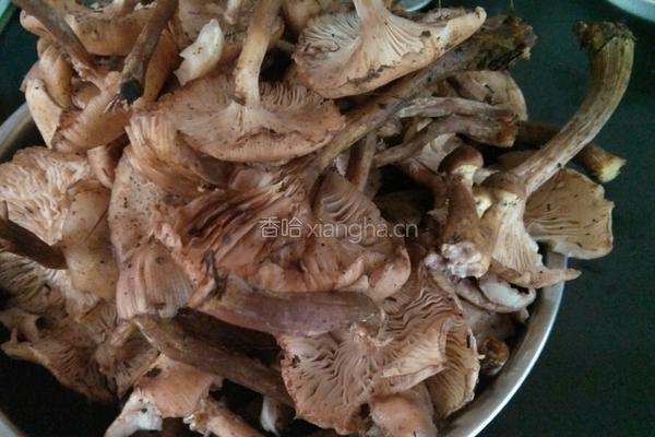 东北蘑菇冬瓜肉汤的做法图解1