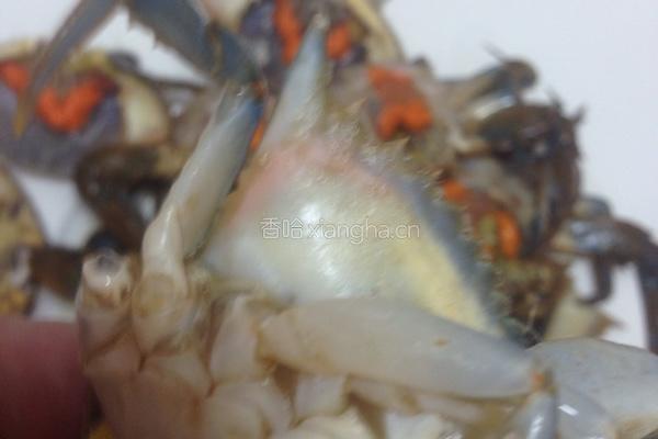 香辣螃蟹的做法图解1