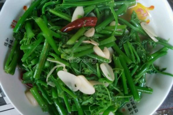 炒洋瓜尖的做法图解4