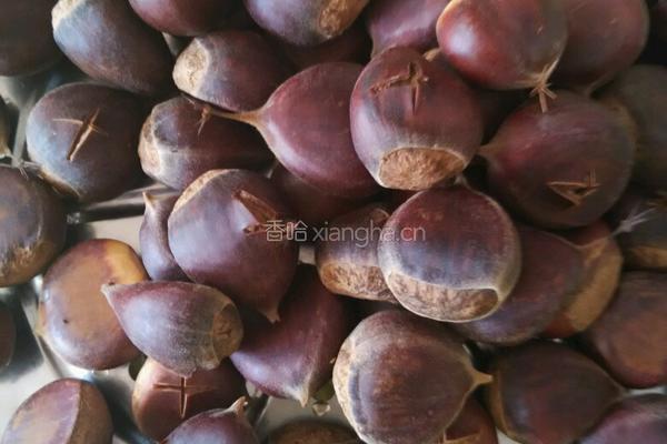 煮栗子的做法图解4