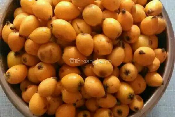 枇杷果酱的做法图解1
