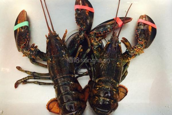 姜葱龙虾的做法图解1