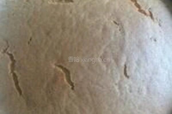 海洋之星的做法图解16