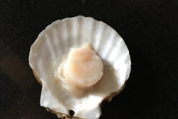 蒜蓉粉丝蒸扇贝的做法图解1