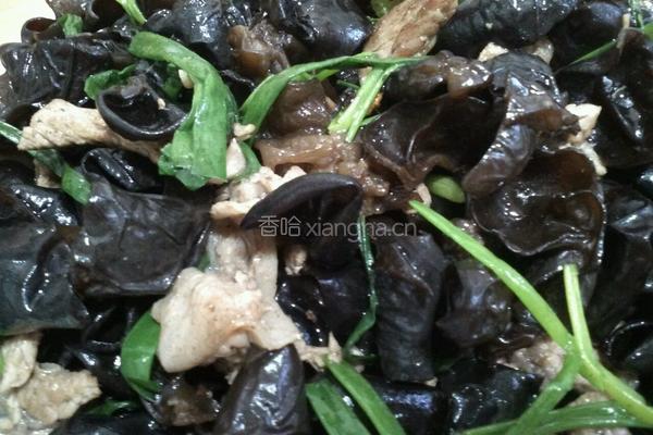 木耳炒肉的做法图解8