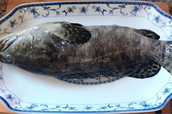清蒸珍珠龙趸的做法图解2