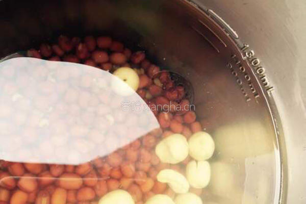红豆薏米莲子糊的做法图解3