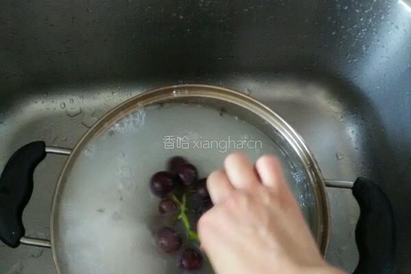 自制美味营养纯葡萄酒的做法图解4