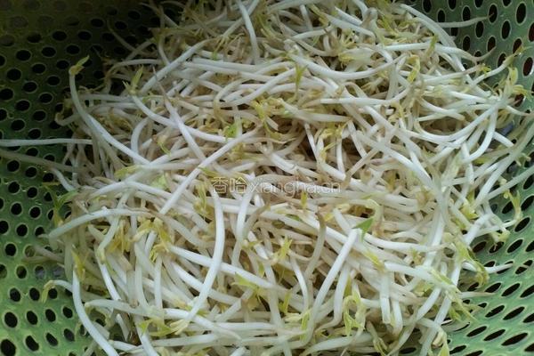 豆芽炒胡萝卜丝儿的做法图解1