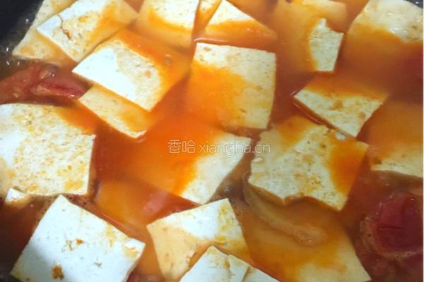 番茄爱吃豆腐的做法图解6