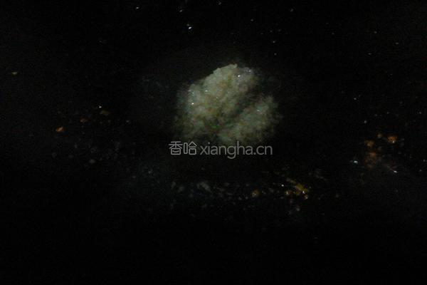 香菇炖猪脚的做法图解6