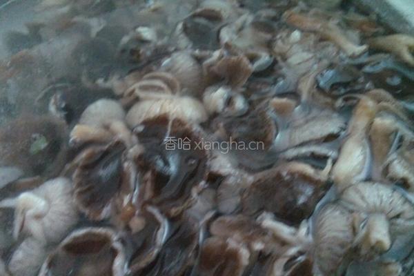 肉炒尖椒蘑菇的做法图解3