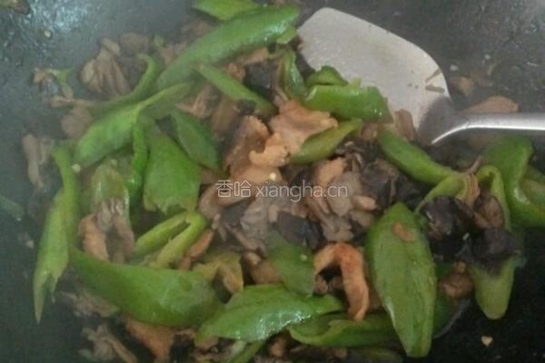 肉炒尖椒蘑菇的做法图解9