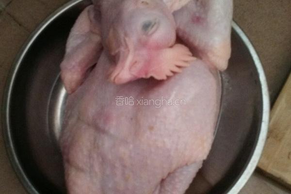 芝麻姜葱手撕鸡的做法图解1