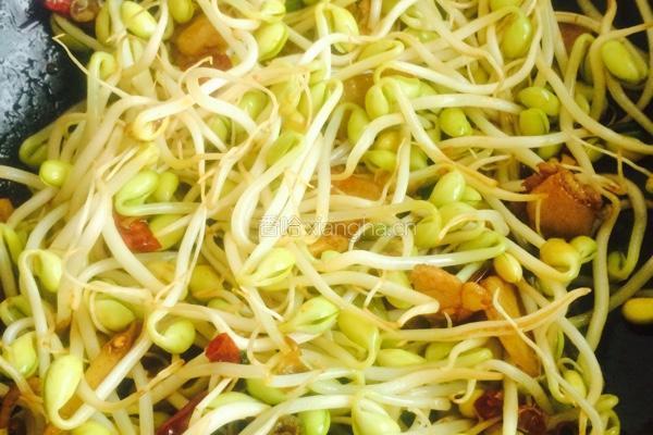 家常海带烧豆芽的做法图解6