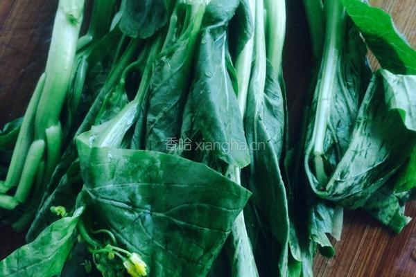 肉丝菜苔烧豆腐的做法图解2
