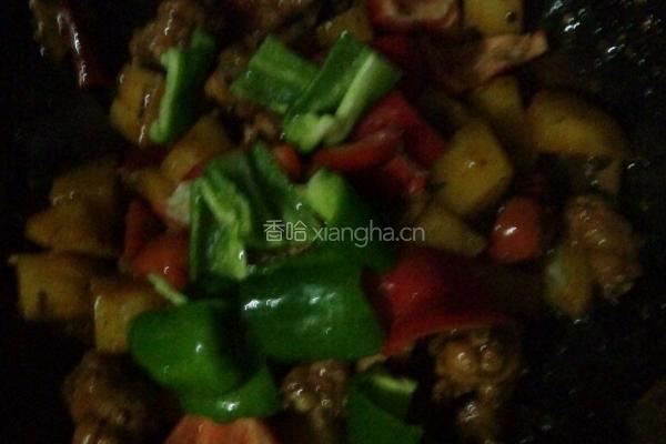 土豆烧鸡的做法图解6