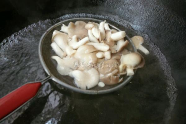 凉拌绣珍菇的做法图解2