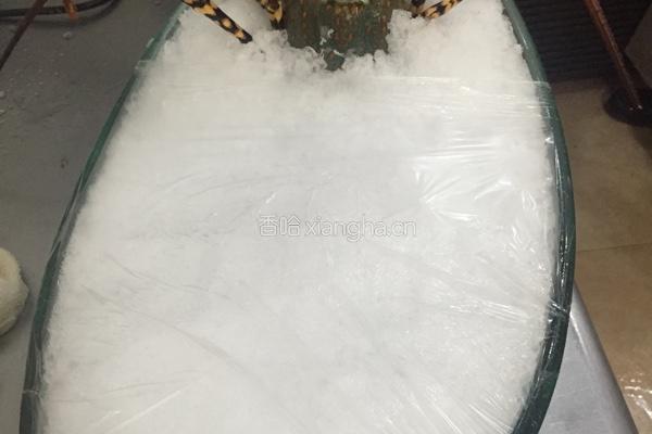 刺生澳洲龙虾的做法图解8