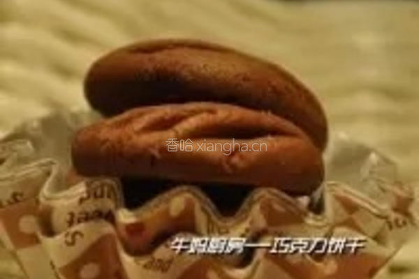 巧克力饼干的做法图解12