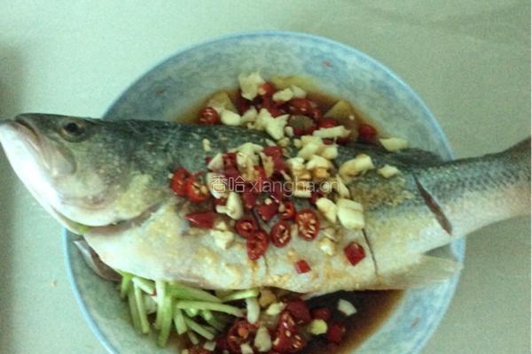 懒人清蒸鲈鱼的做法图解3