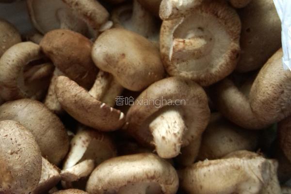 小鸡炖蘑菇的做法图解2