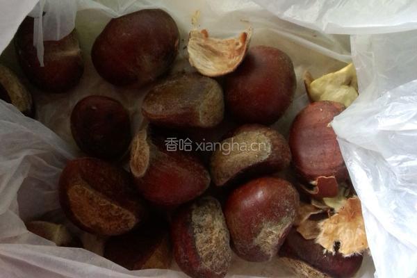 小鸡炖蘑菇的做法图解6
