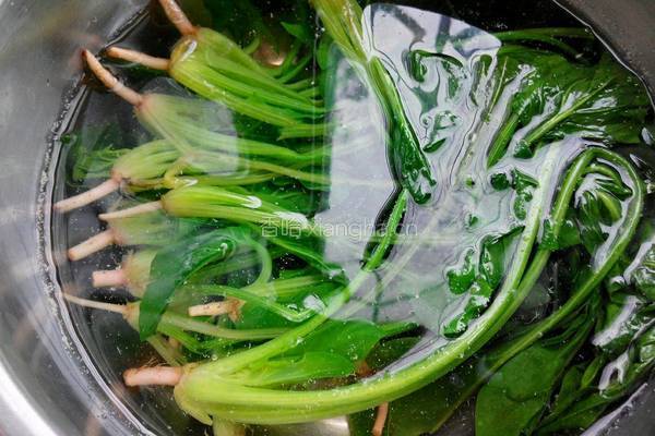 核桃仁拌菠菜的做法图解5
