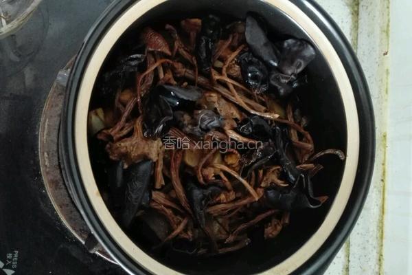茶树菇魔芋鸡肉煲的做法图解6
