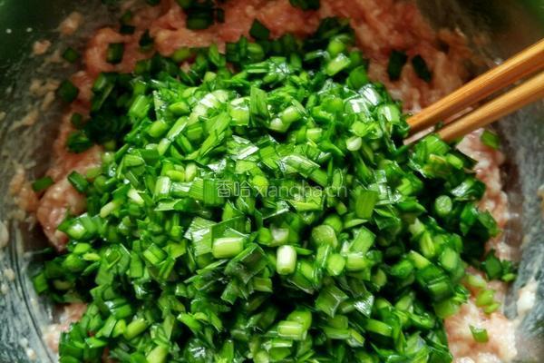 韭菜猪肉饺子的做法图解3