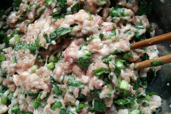 韭菜猪肉饺子的做法图解4